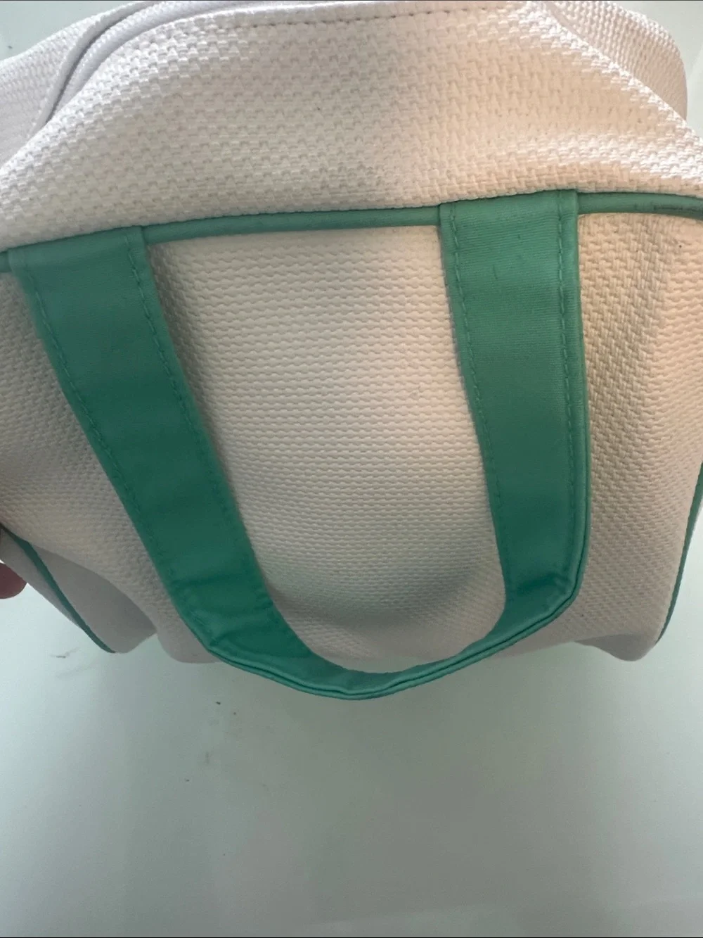 Canvas Tote Bag with Mint Green Handles